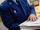 В Кировской области матери отказали в пособии, так как у нее есть земельный участок