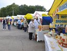 Для кировчан устроят субботнюю ярмарку с развлечениями и дегустацией