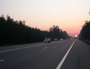В ДТП на федеральной трассе погибли три жителя Кировской области
