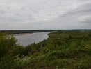 Ради красивого вида на Вятку на верхней набережной борются с зарослями