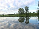Кировская область станет частью туристического маршрута «Медвежий тракт»
