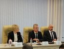 Депутаты приняли отставку Ильи Шульгина