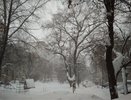 Погода на неделю: Киров накроет снег