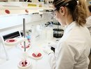 Препарат для лечения COVID-19 начали выпускать в Кировской области