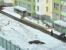 «Парень жутко выл над телом»: в Кирове из окна выпала девушка