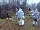 В 10 районах Кировской области ввели режим ЧС из-за птичьего гриппа