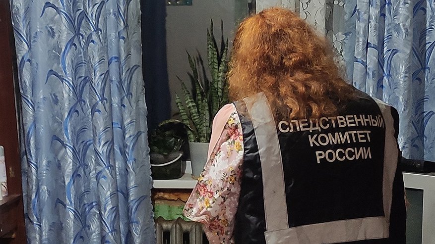 Главная картинка новости: Житель Кировской области убил мужчину и рассказал об этом полиции