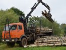 Леса в Кировской области начнут тщательнее патрулировать из-за дровосеков-нарушителей