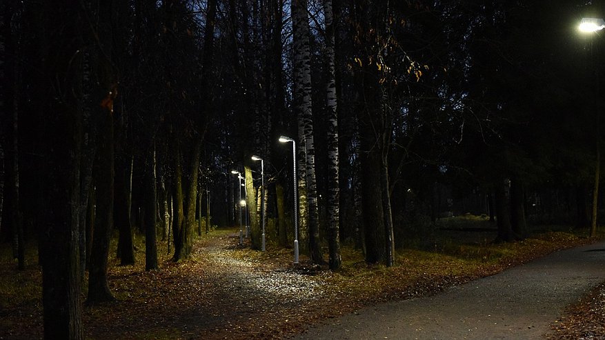 На улице в Кировской области, где живет мобилизованный, поставят фонари