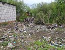 В Кировской области создадут совет для решения вопросов по свалкам и отходам