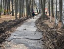 В Кирове начали ремонтировать Александровский сад