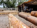 Работодатель в Кировской области погубил рабочего и отделался условным сроком