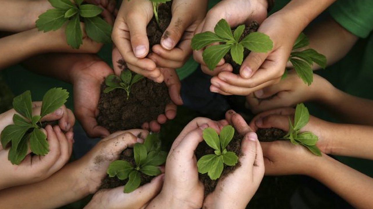 Главная картинка новости: Сотрудники Tele2 участвуют в экопроектах компании