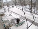 В Кировской области мужчина оставил котенка мерзнуть на улице