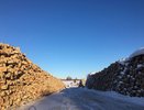 В Кировской области поймали лесничего, который брал взятки