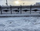 В Александровском саду спилили кусты сирени
