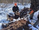 В Смоленской области нашли останки погибшего солдата из Кирова