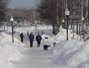 В кировском парке останавливали прохожих с собаками для проверки