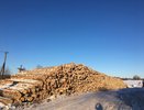 Жителя Кировской области осудят за рубку нескольких тысяч деревьев на 37 млн рублей