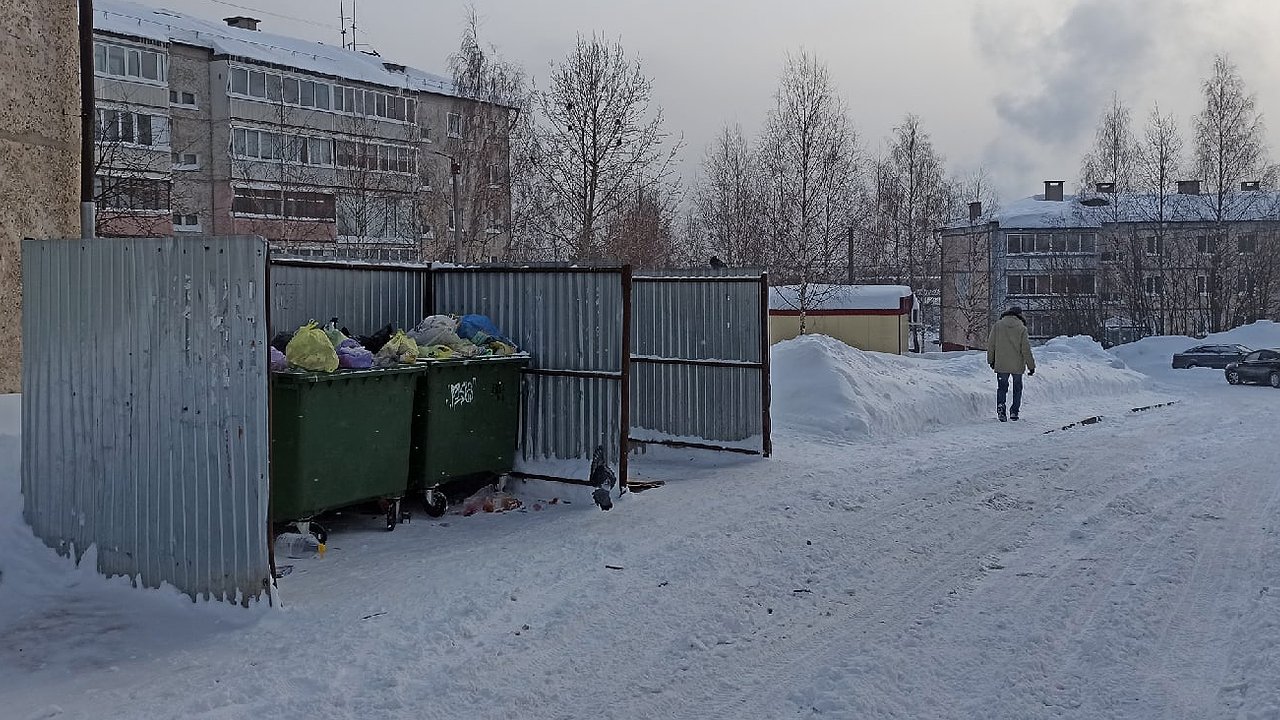 Главная картинка новости: Мусор с территории кировских школ будут вывозить днем