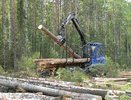 Кировская область будет возить лес в Казахстан и Белоруссию
