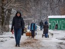 Треть кировчан хочет больше отдыхать, а некоторые работали бы еще больше