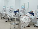 170 жителей Кировской области пожаловались Бастрыкину на мнимую медицинскую организацию