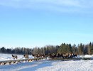 На единственной ферме маралов в Кировской области планируют селить туристов