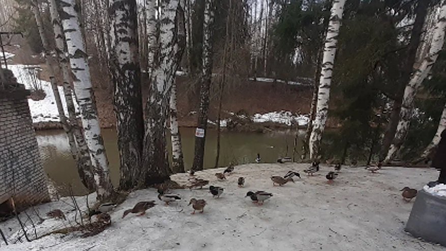 Главная картинка новости: В необорудованной купели искупалось 170 кировчан на Крещение