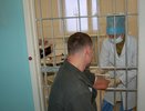 Кировчанка пыталась вытащить мужчину из тюрьмы за 340 тысяч рублей
