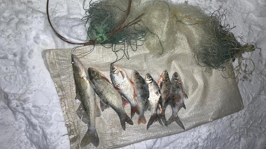 Кировских браконьеров ждет штраф или что-то похлеще за незаконную ловлю рыбы