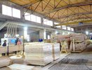 Предприятия Кировской области хотят отправлять древесину в зону СВО