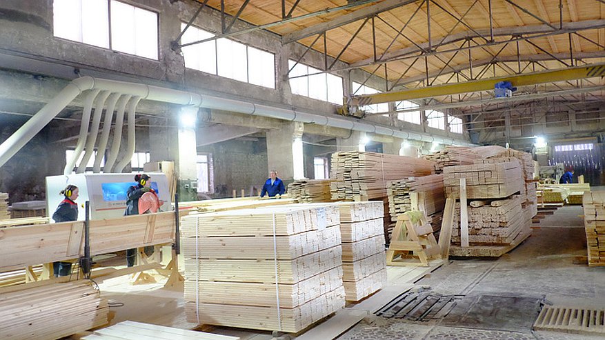 Предприятия Кировской области хотят отправлять древесину в зону СВО