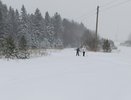 Поход за грибами и ягодами станет платным в Кировской области: кого коснется новшество