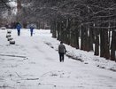 Повышение цен на сигареты, ужесточение правил для зоомагазинов и другие законы марта