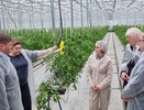 В Кировской области собираются увеличивать площади для выращивания картошки, капусты и свеклы