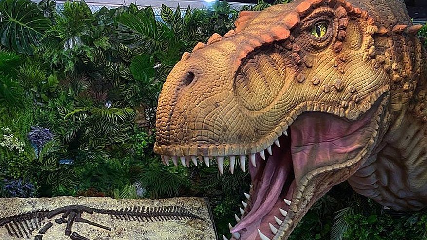 Кировские динозавры гастролируют в Дубае