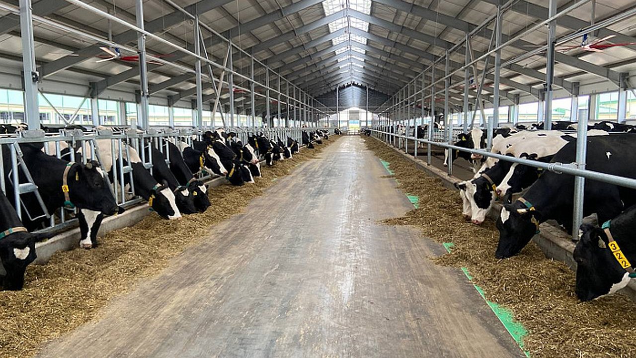 Главная картинка новости: В четырех районах Кировской области построят молочные фермы