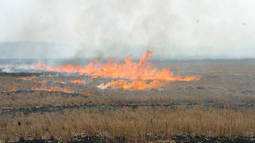 Неизвестный спровоцировал в Малмыжском районе пожар на 350 квадратных метров