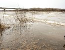 Вятка за день поднялась на 25 см