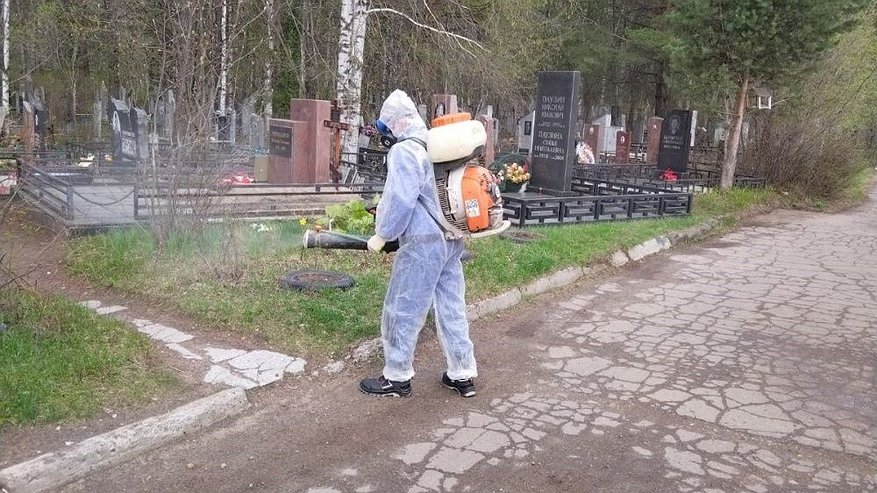 Городские кладбища Кирова начали обрабатывать от клещей