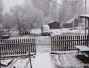 В Кировской области выпал снег: жители делятся фото