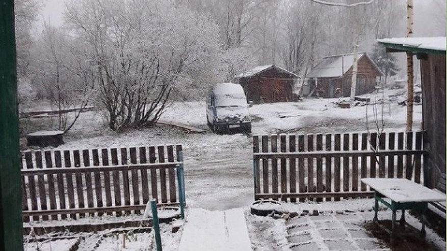 В Кировской области выпал снег: жители делятся фото
