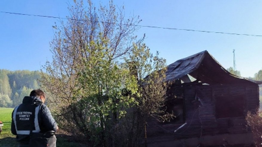 Главная картинка новости: При пожаре в Кировской области погибли мужчина и его 10-летний внук