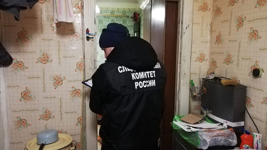 В Кирове осудили парня, который убил хозяина квартиры при помощи ножа и топора