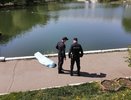 В пруду у цирка в Кирове нашли труп