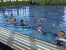 Кировских школьников будут учить плаванию: утверждена программа