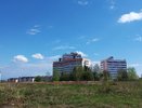 В Россельхознадзоре заявили об опасной зоне в Кирове из-за карантинного объекта