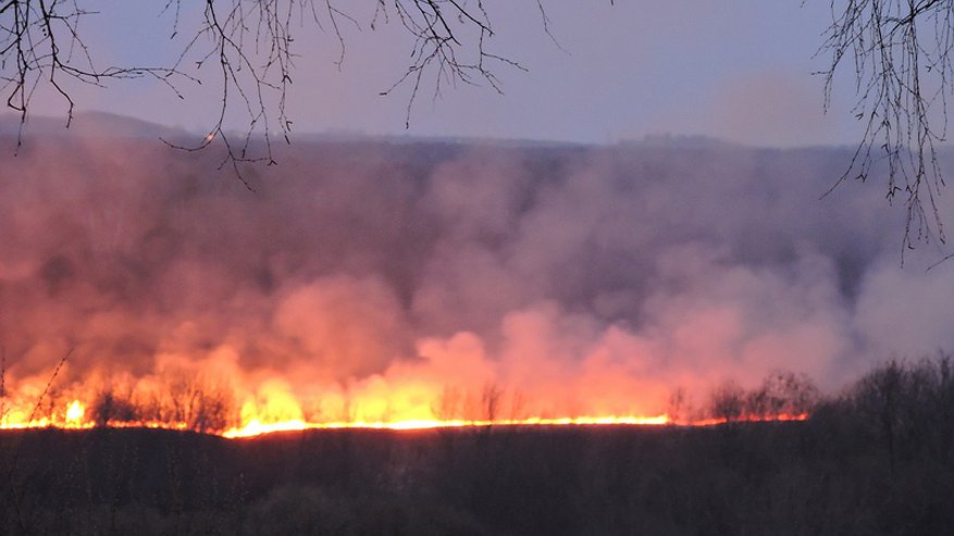 Пожарная опасность 4 класса: для кировчан объявили метеопредупреждение