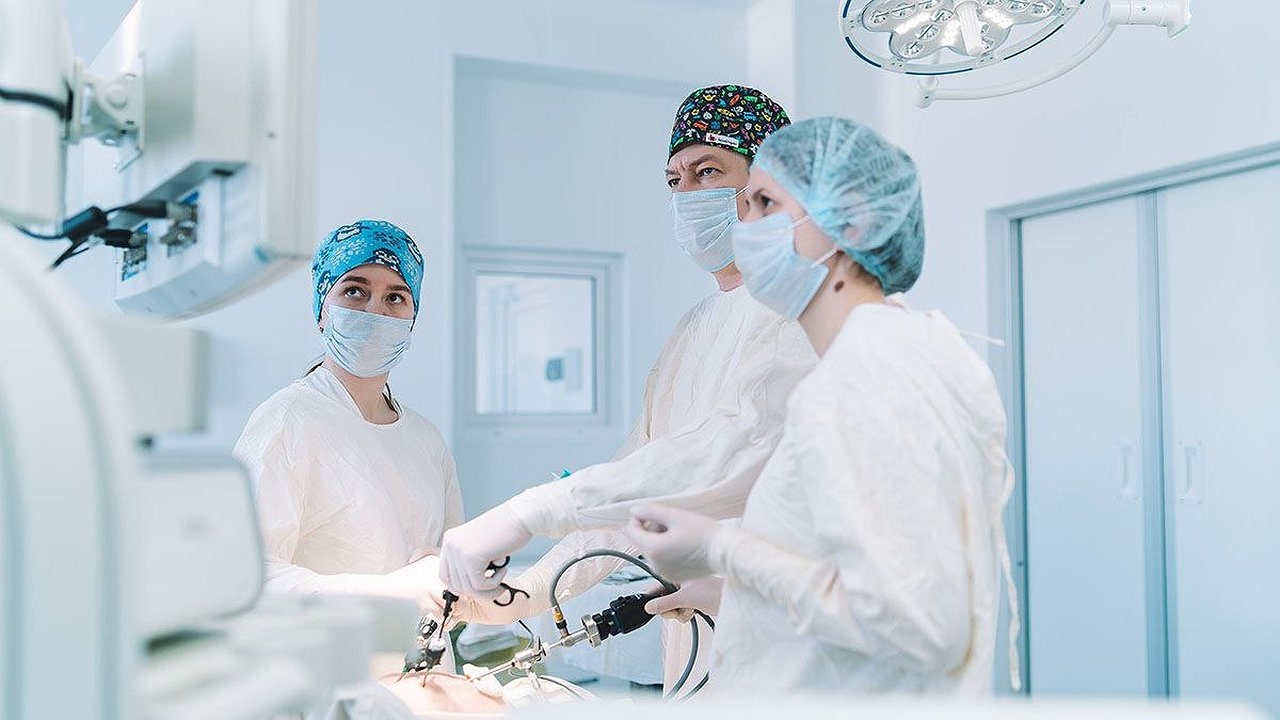 Главная картинка новости: Медики спасли близнецов из Лузского района, которые родились раньше срока